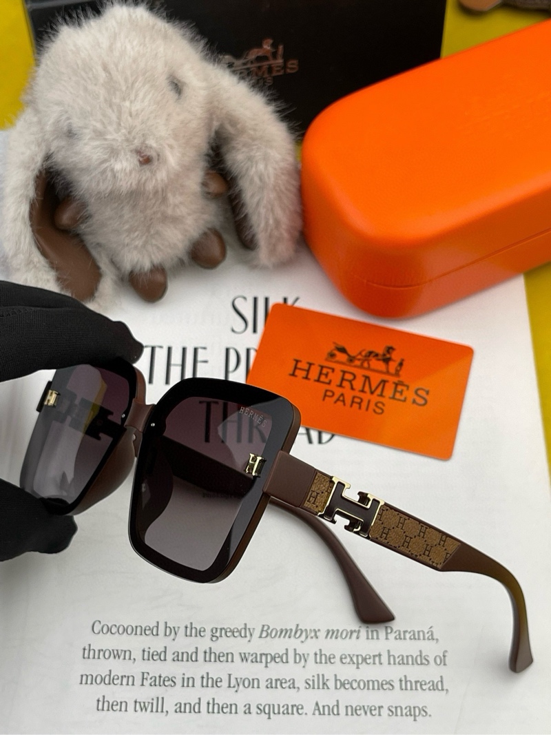 Hermes Sunglasses-63